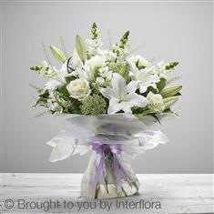 Large Beautiful Bond Hand-tied