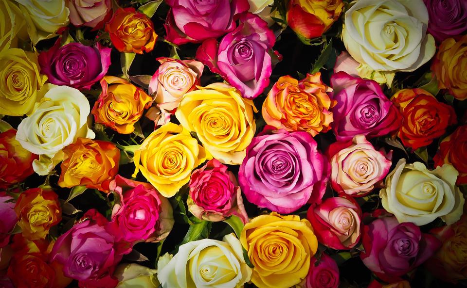 Howcrofts Florist